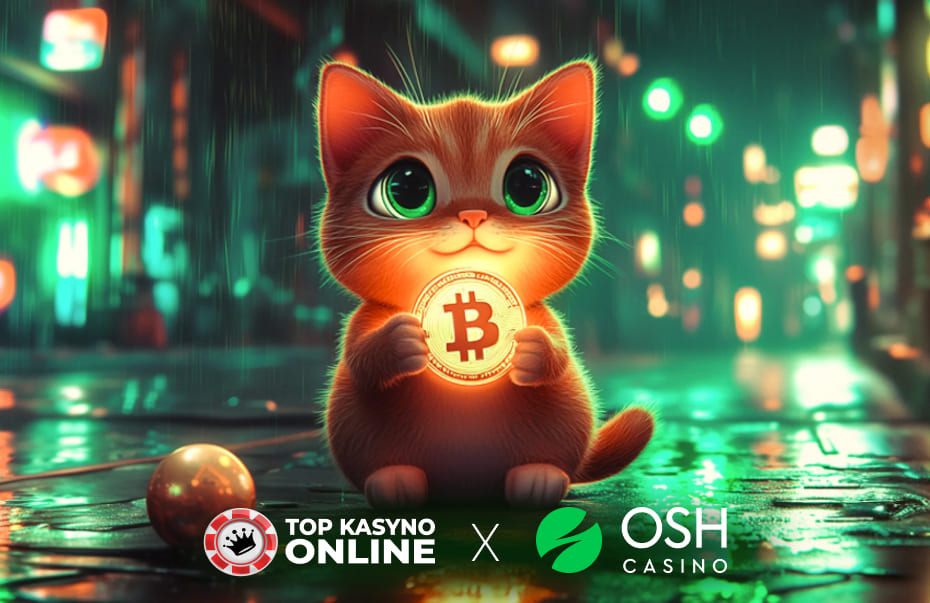 metody płatności w Osh Casyno