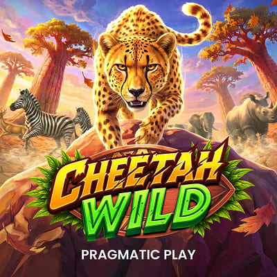 Cheetah Wild Cheetah Wild