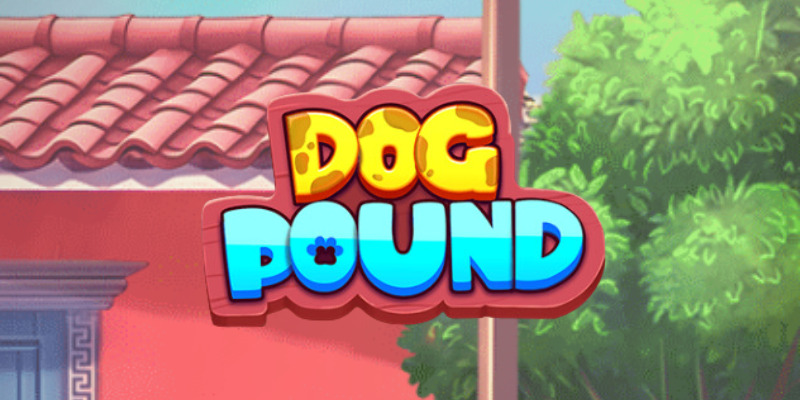 Dog Pound